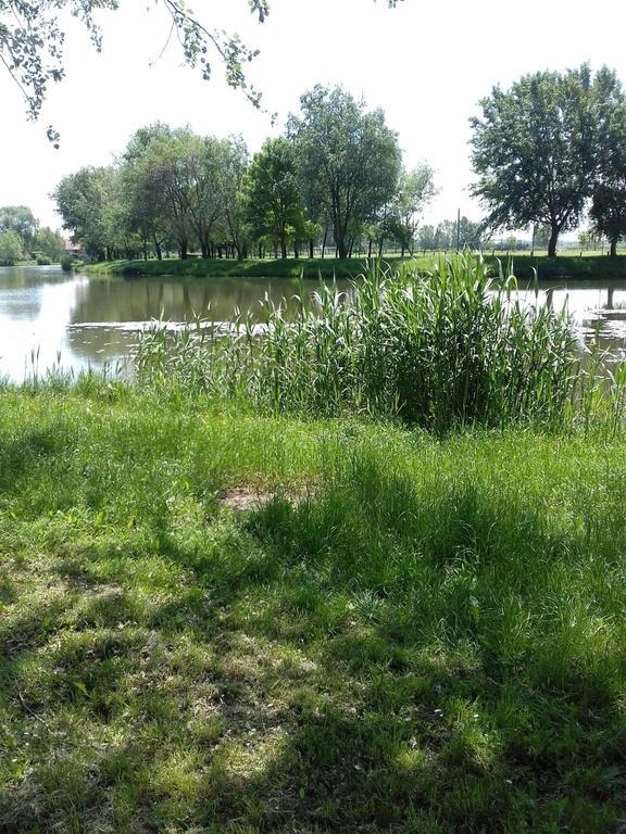 Levendula Haz Villa Lipót Buitenkant foto