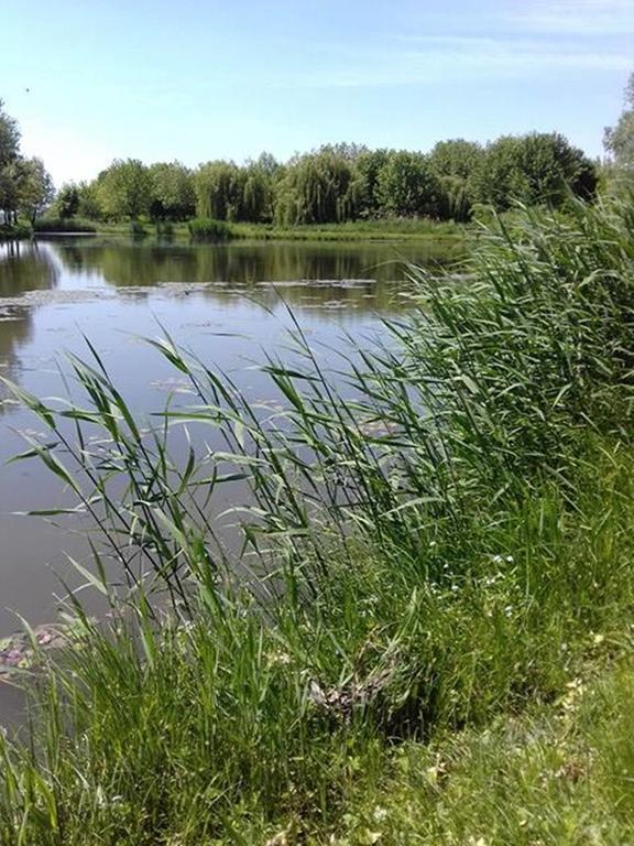 Levendula Haz Villa Lipót Buitenkant foto