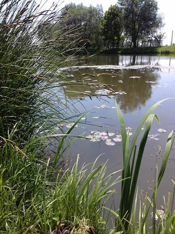 Levendula Haz Villa Lipót Buitenkant foto